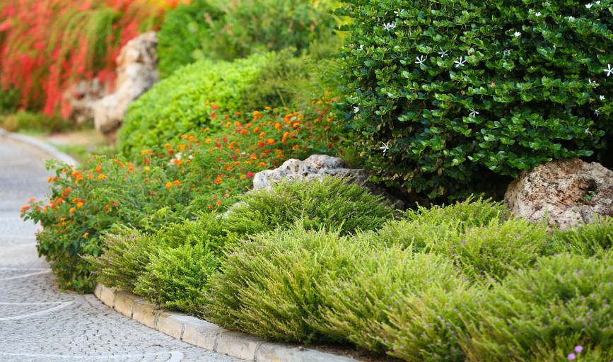 Landscaping Services